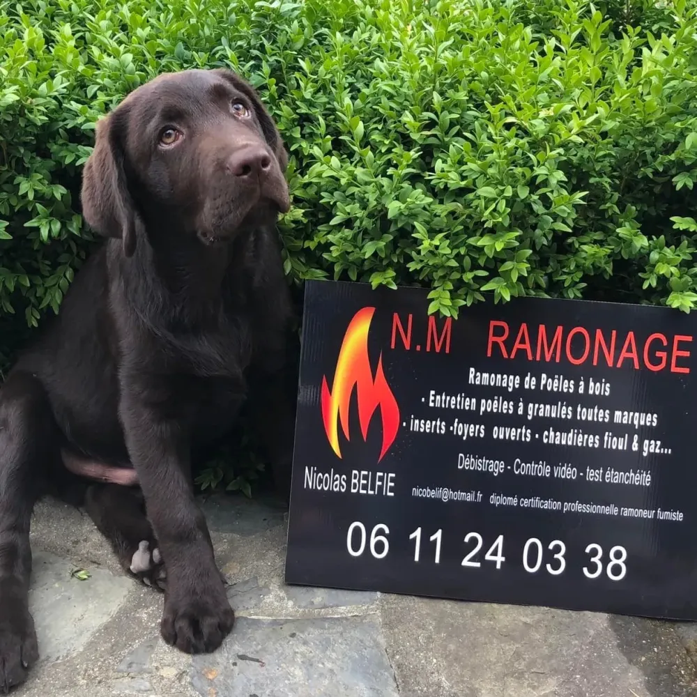 NM Ramonage - Ramonage et entretien dans la Manche et le Calvados (9)